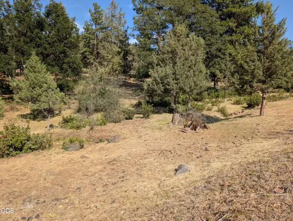 0 Dunlin Lane #936, Klamath Falls, OR 97601