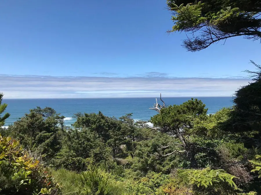 0 Forest Street #1400, Newport, OR 97365 - #3