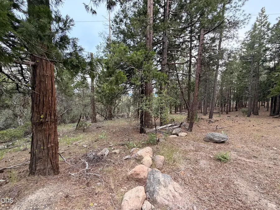 0 Porpoise Lane #15, Bonanza, OR 97623 - #2