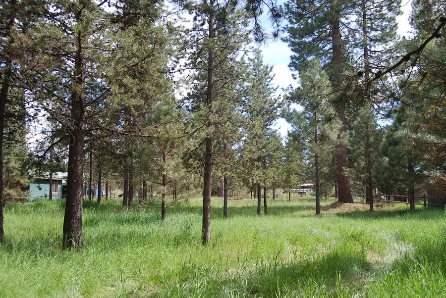 16245 Bear Lane, Bend, OR 97707 - #3