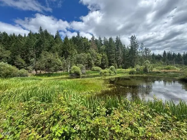 5345 Westside Road, Cave Junction, OR 97523 - #1