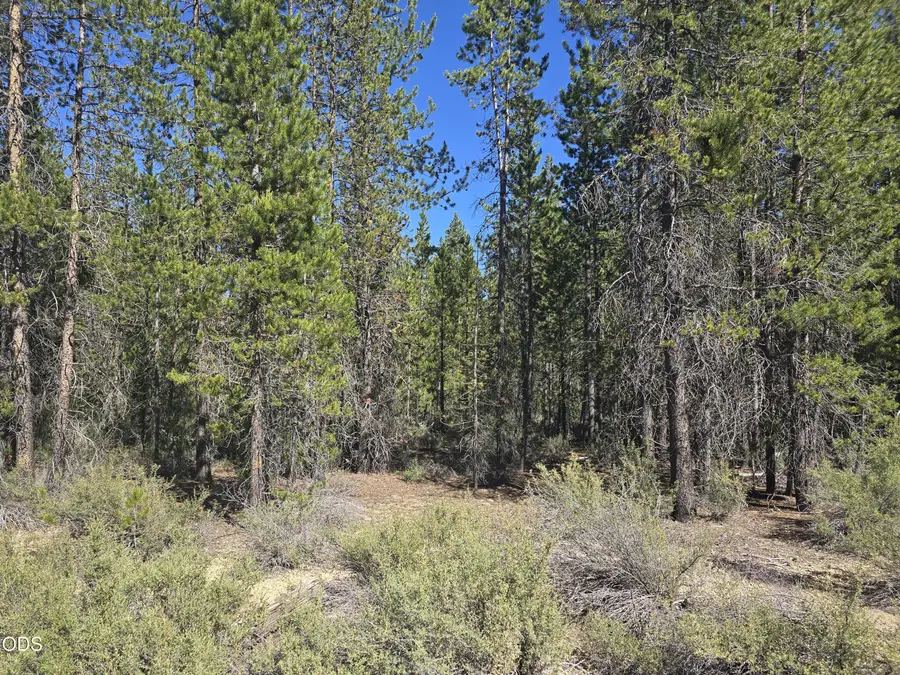 5 Mowich Street, Crescent Lake, OR 97733 - #2