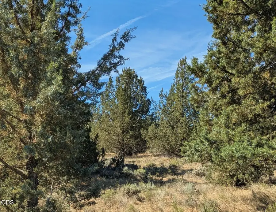 SW Wheatgrass Road #03900, Terrebonne, OR 97760 - #2