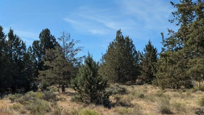 SW Wheatgrass Road #03900, Terrebonne, OR 97760 - #3