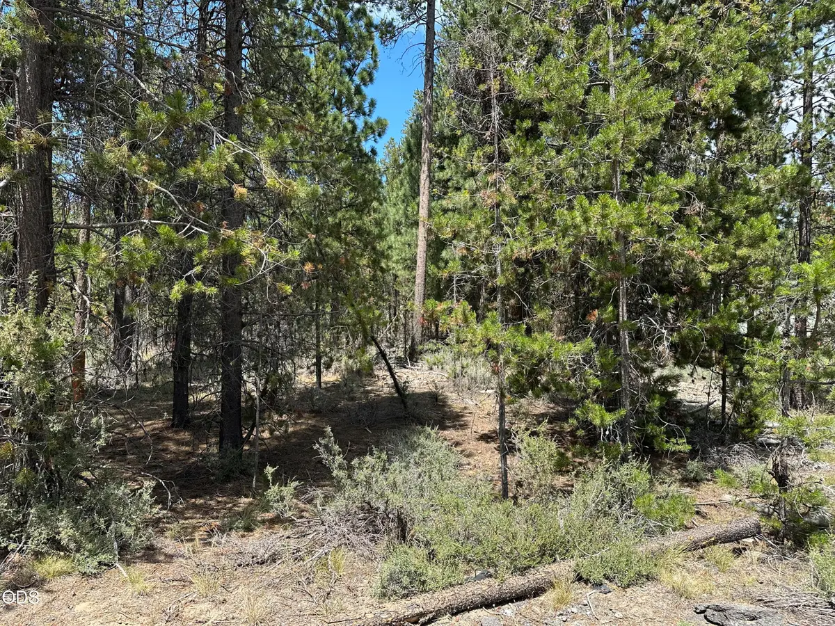 15674 Holiday Court, La Pine, OR 97739 - #1