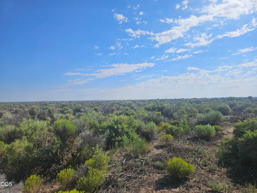 Carrico Road #Lot 500, Christmas Valley, OR 97641 - #3
