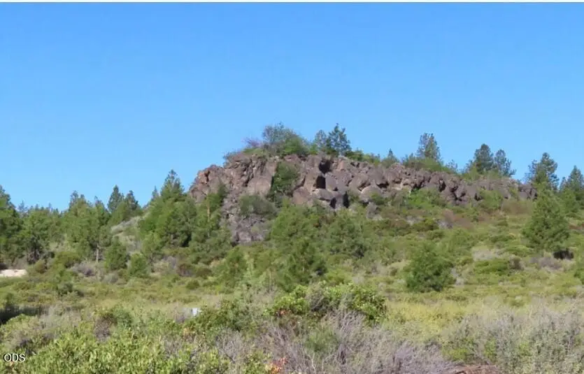 61365 Bonneville Loop, Bend, OR 97702 - #1