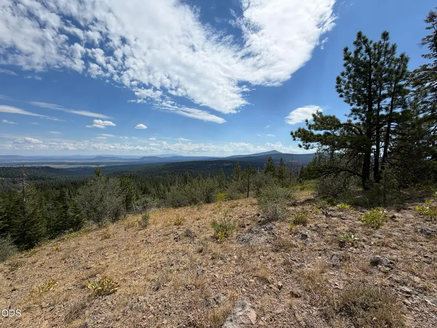 0 Walrus Lane #388501, Bonanza, OR 97623 - #3
