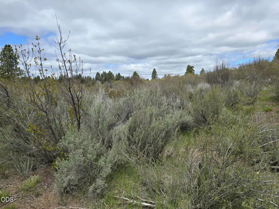 Margi Way, Chiloquin, OR 97624 - #2