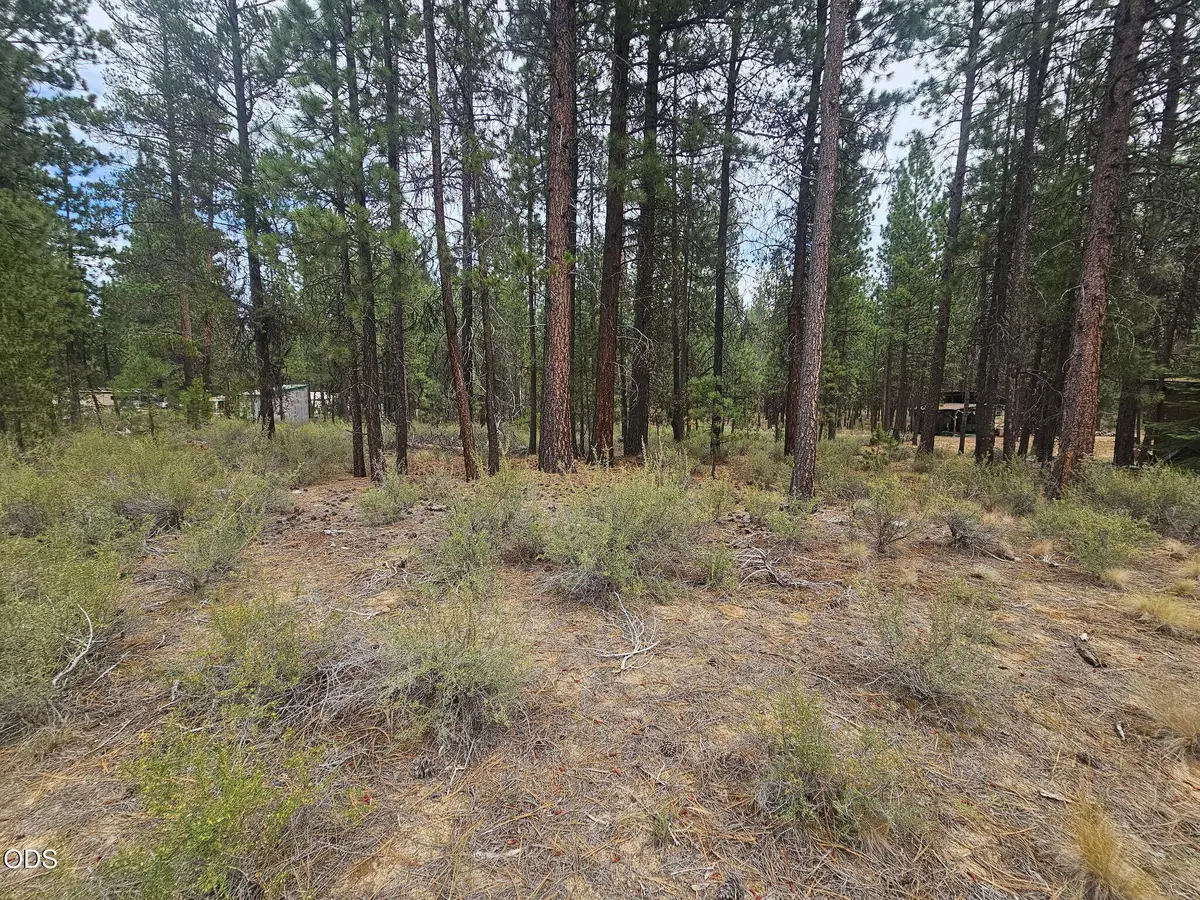 50428 Deer Street, La Pine, OR 97739 - #1