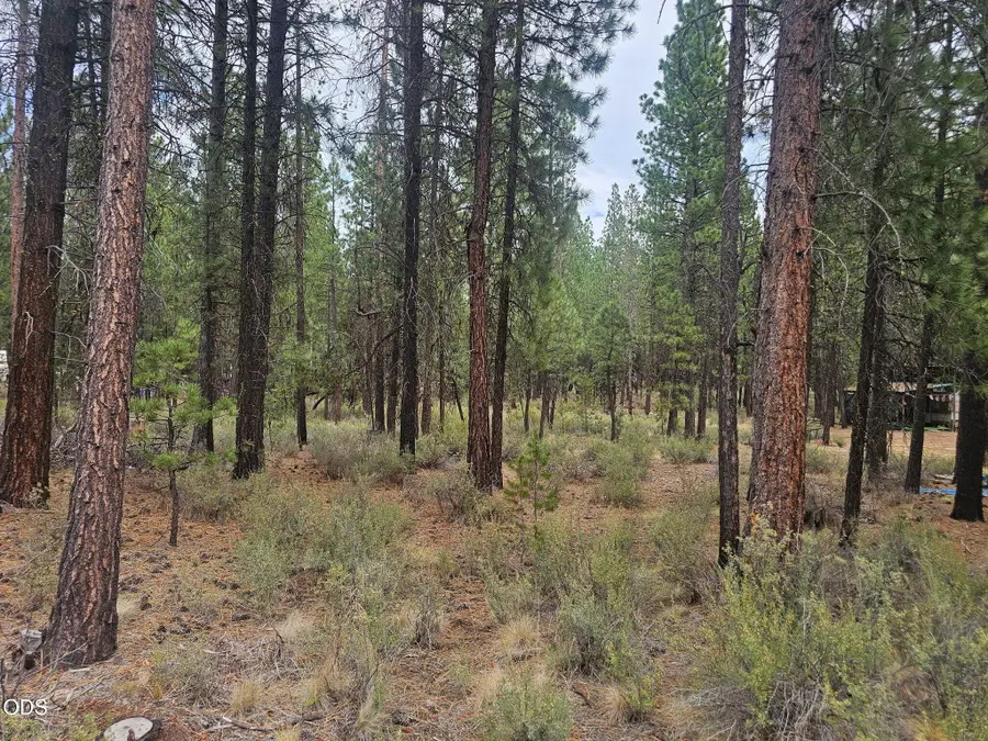 50428 Deer Street, La Pine, OR 97739 - #2