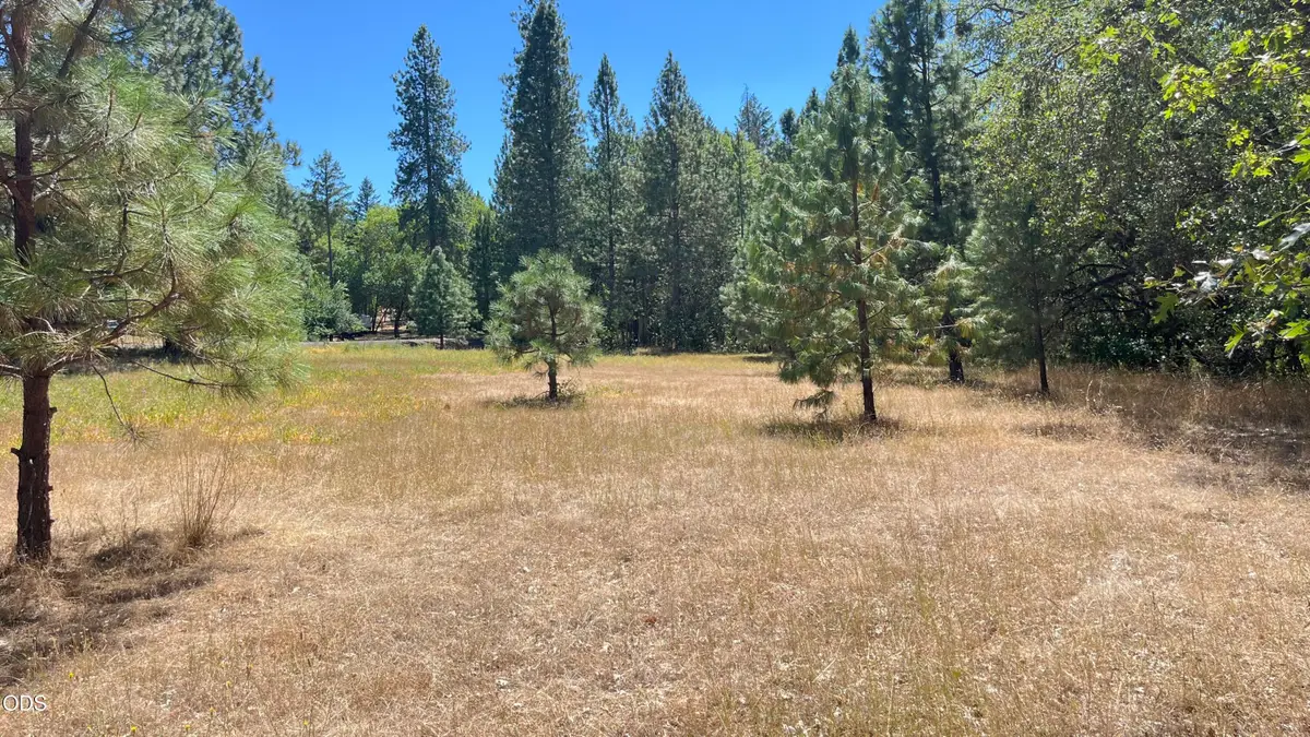 4569 Kane Creek Road, Central Point, OR 97502 - #1
