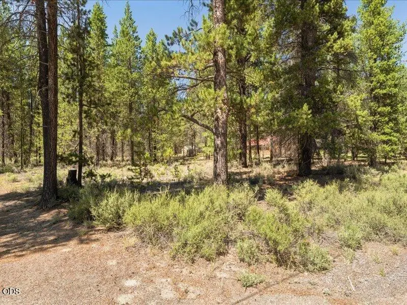 52687 Wayside Loop, La Pine, OR 97739 - #3