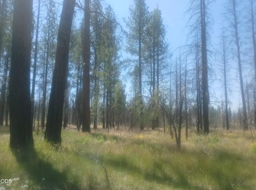 34228 Zebra Lane, Bonanza, OR 97623 - #3