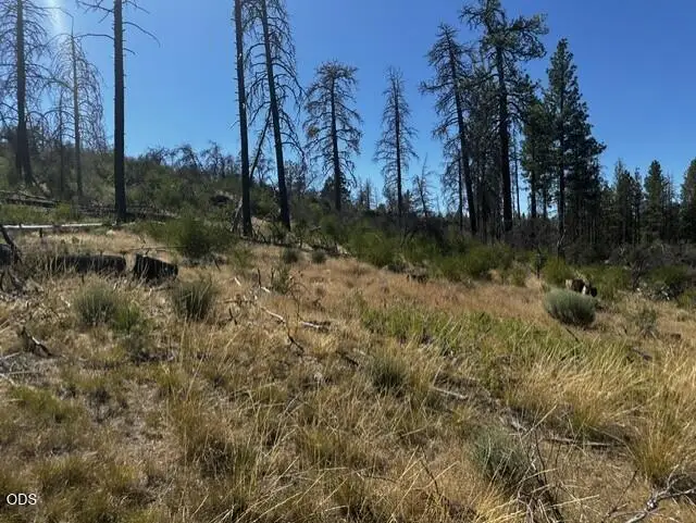 0 Wren Drive #Lot 6, Bonanza, OR 97623 - #2