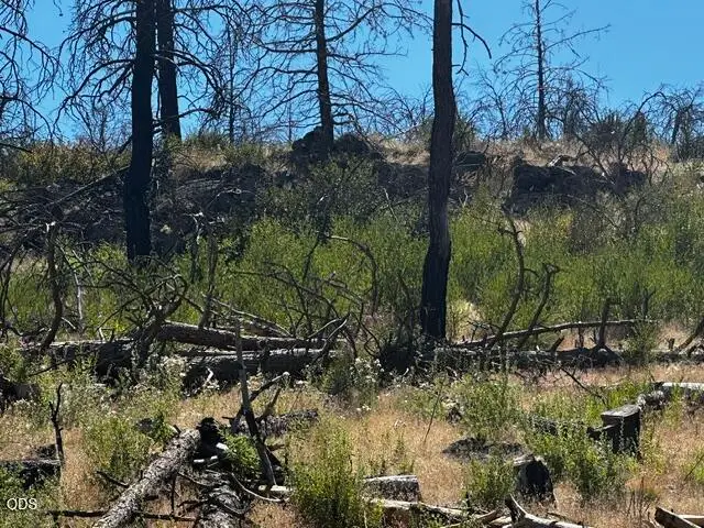 0 Wren Drive #Lot 6, Bonanza, OR 97623 - #3