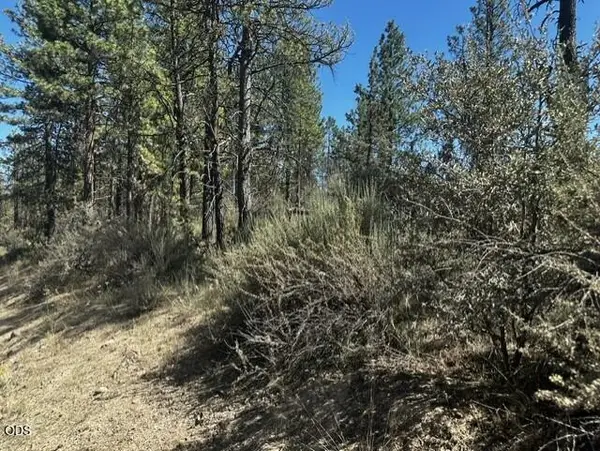 0 Jaguar Lane #Lot 3, Bonanza, OR 97623