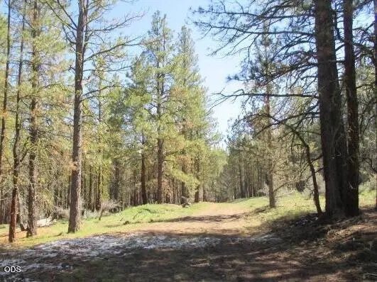 Partin #Lot 3, Beatty, OR 97621 - #2