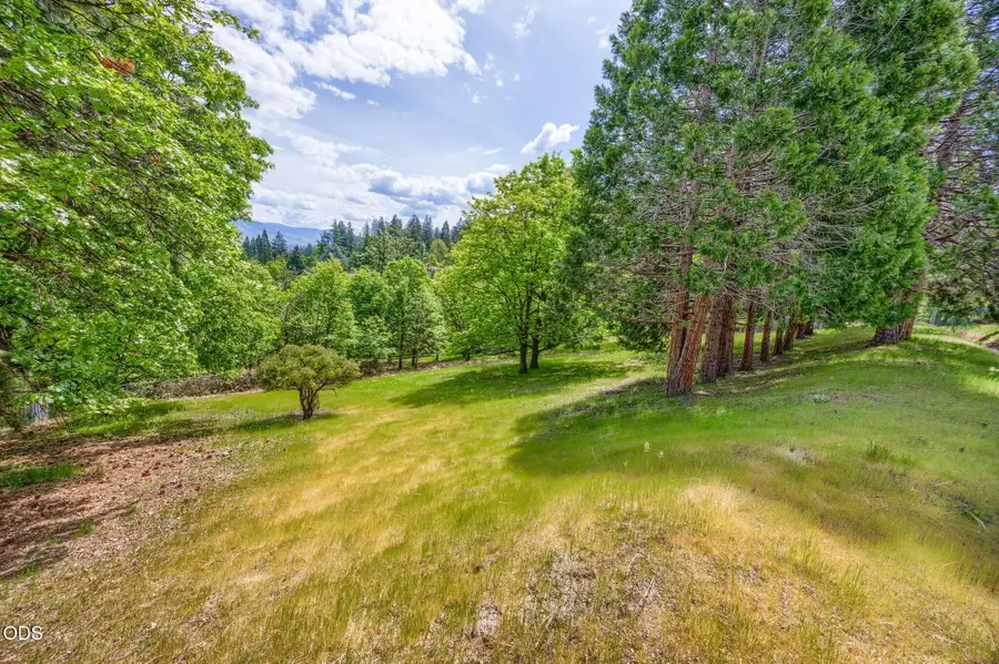 Terrace Street, Ashland, OR 97520 - #3