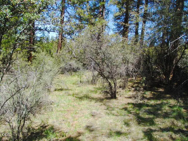 0 Jaguar Lane #29, Bonanza, OR 97623 - #2