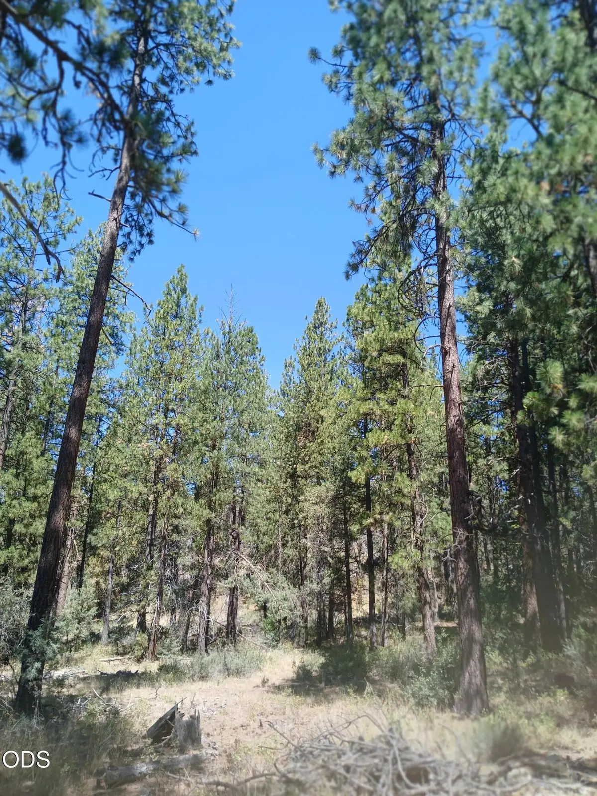 0 Oriole Drive #Lot 12, Bonanza, OR 97623 - #1