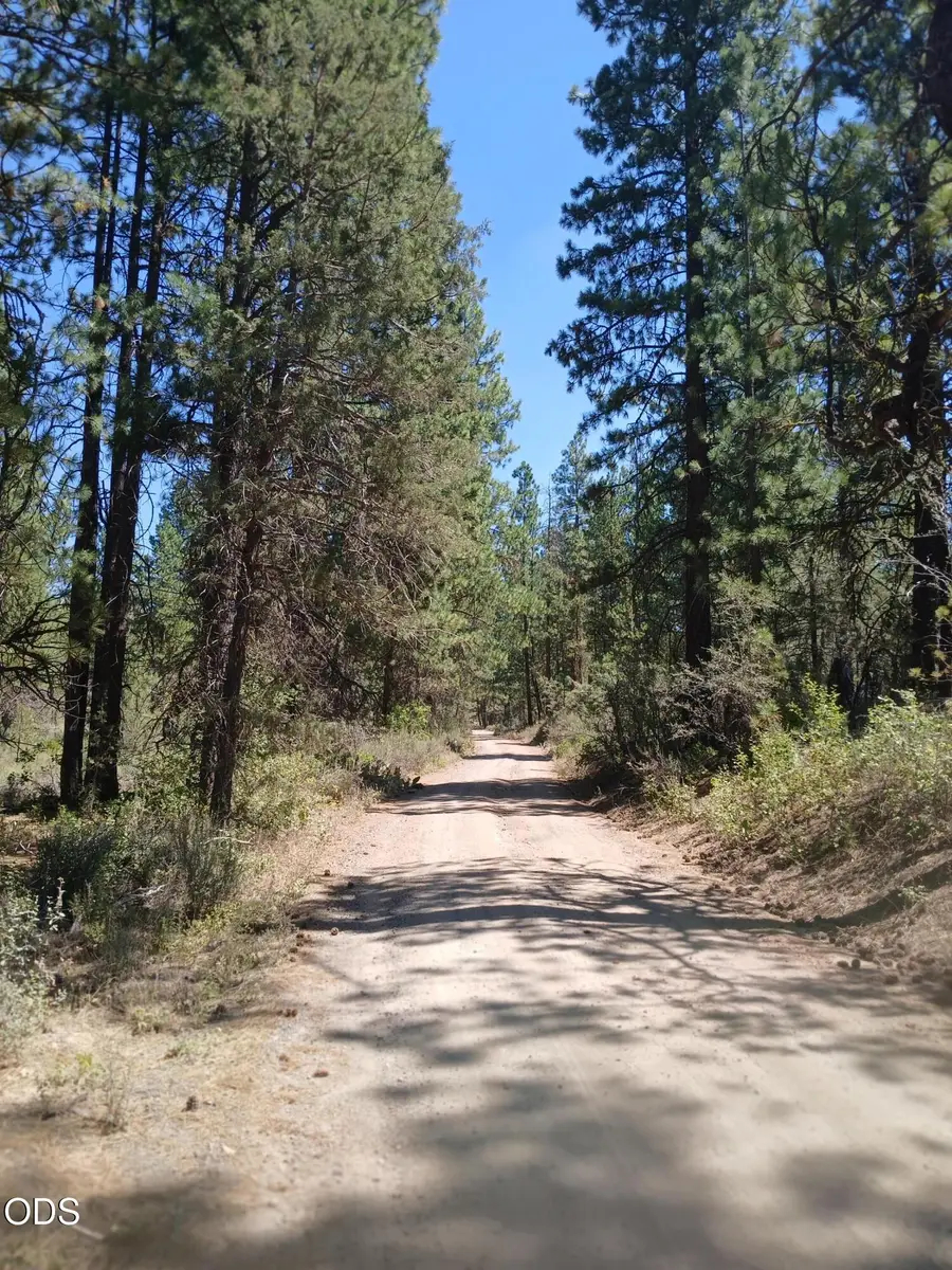 0 Oriole Drive #Lot 12, Bonanza, OR 97623 - #3