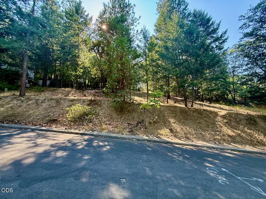 Weller Lane, Ashland, OR 97520 - #3
