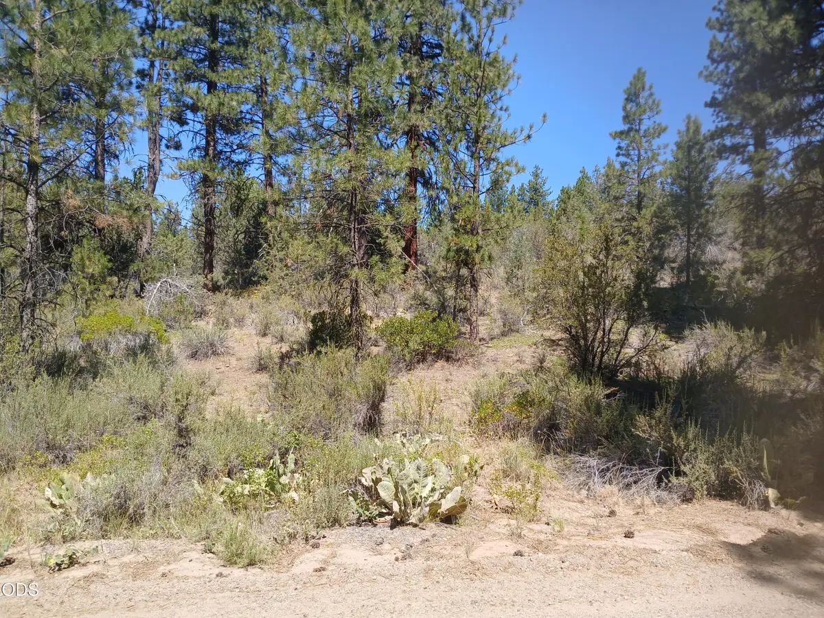 0 Oriole Drive #Lot 13, Bonanza, OR 97623 - #1