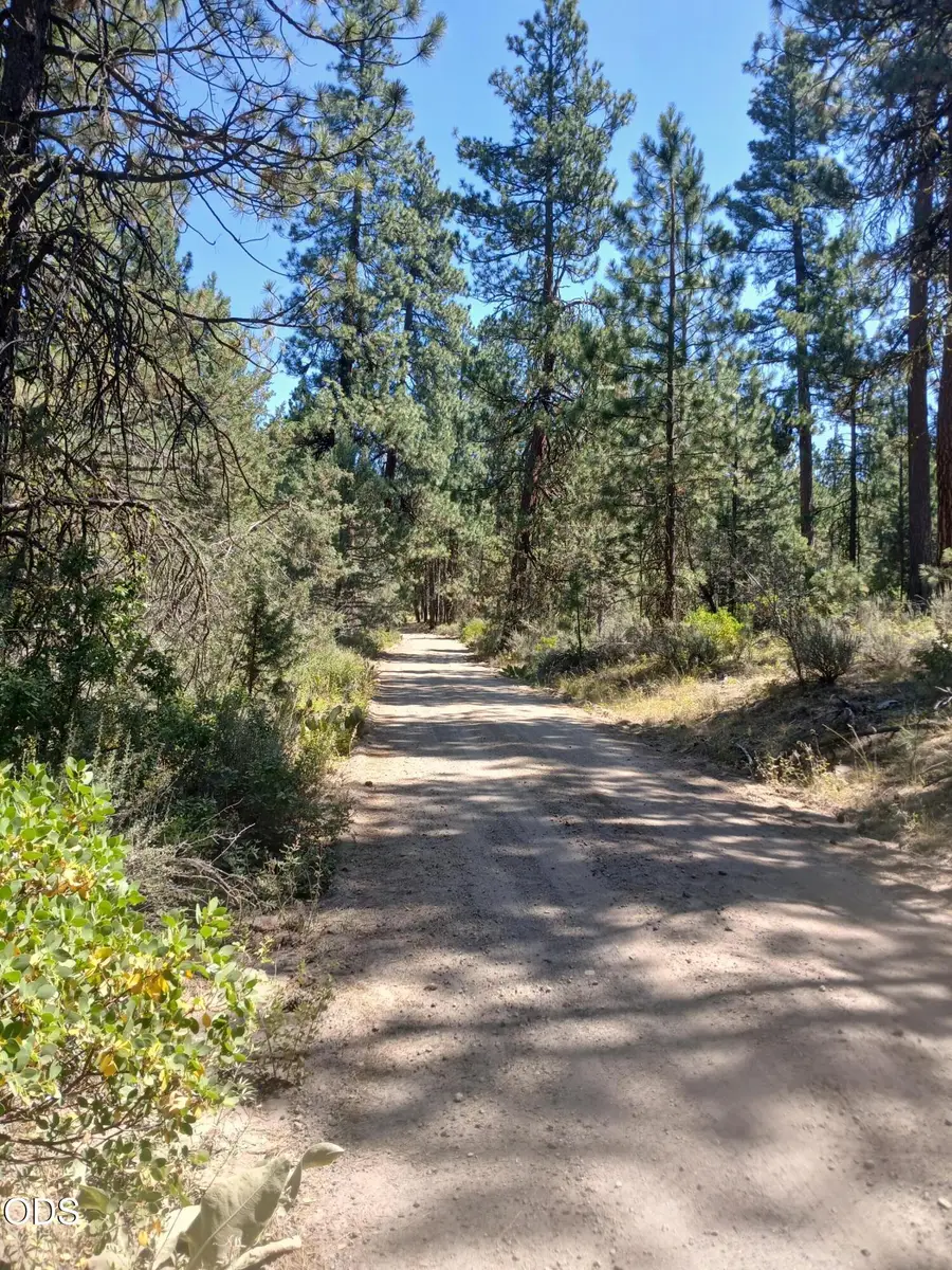 0 Oriole Drive #Lot 13, Bonanza, OR 97623 - #3