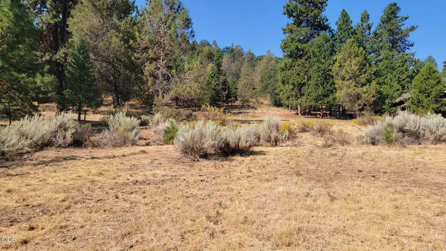 0 Murrelet Road #Lot 729, Klamath Falls, OR 97601 - #3