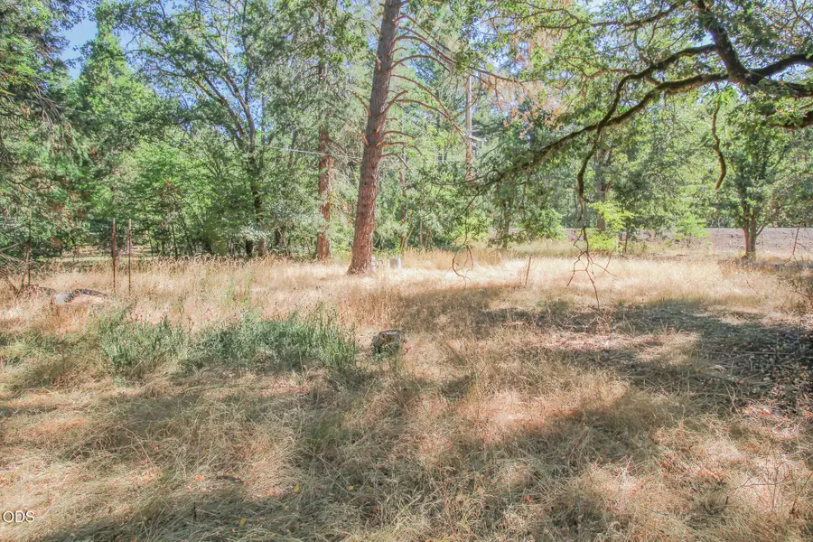 17516 Redwood Highway, Selma, OR 97538 - #2