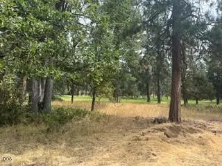 0 Merganser Road #Lot 104, Klamath Falls, OR 97601