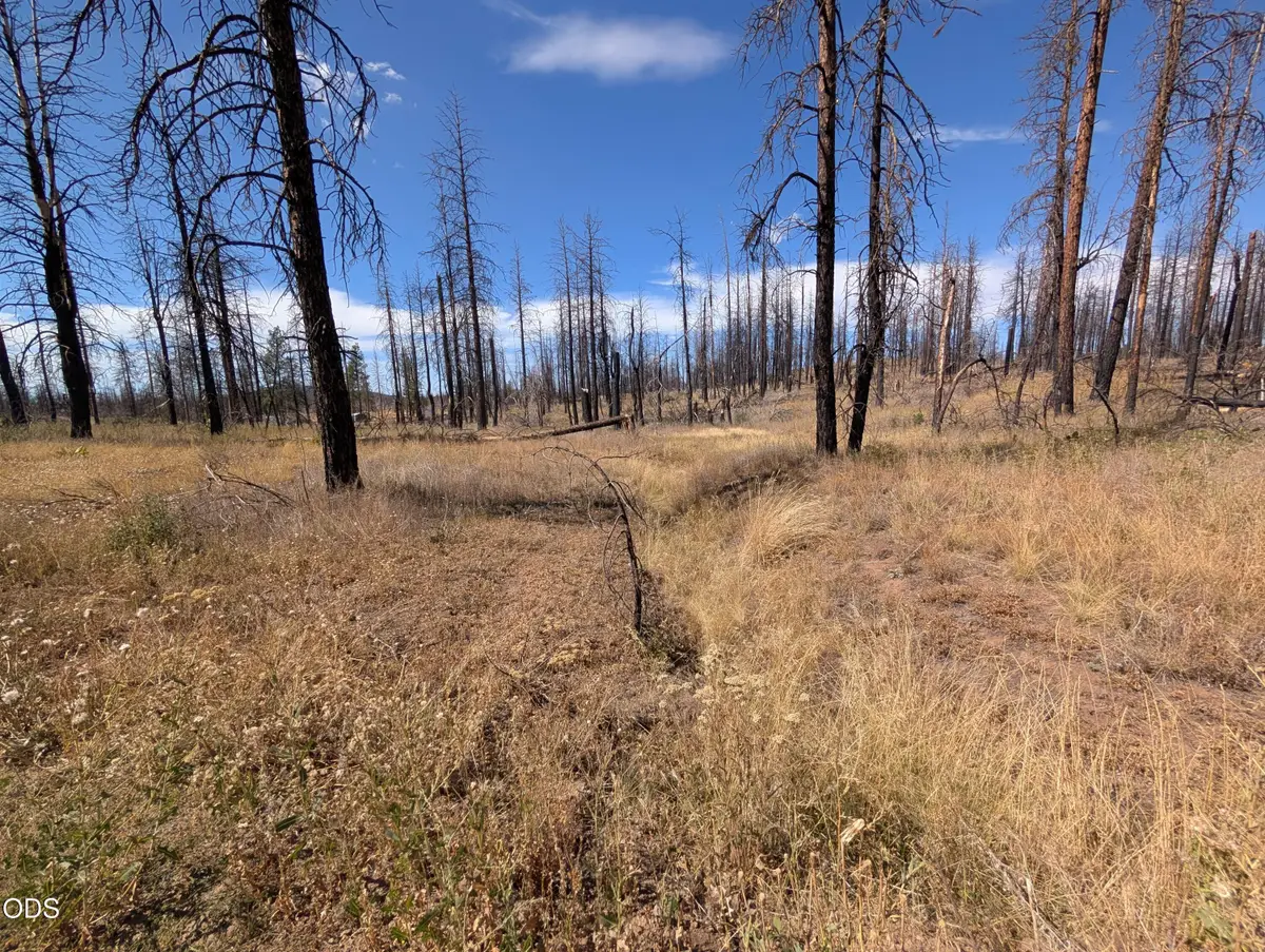 Black Buck Lane #25, Chiloquin, OR 97624 - #1