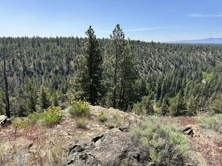 17127 Mountain View Road, Sisters, OR 97759 - #3
