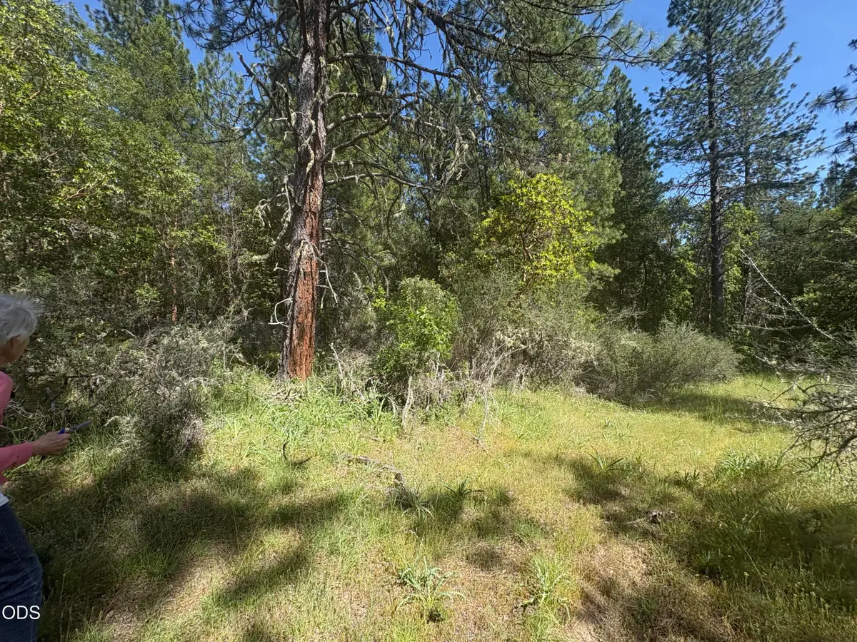 0 Kincaid Road #Lot 603, Williams, OR 97544 - #1
