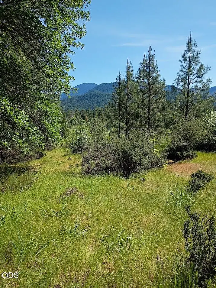 0 Kincaid Road #Lot 603, Williams, OR 97544 - #2