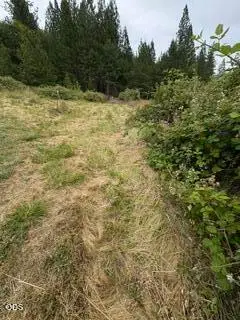 0 Kincaid Road #Lot 603, Williams, OR 97544 - #3
