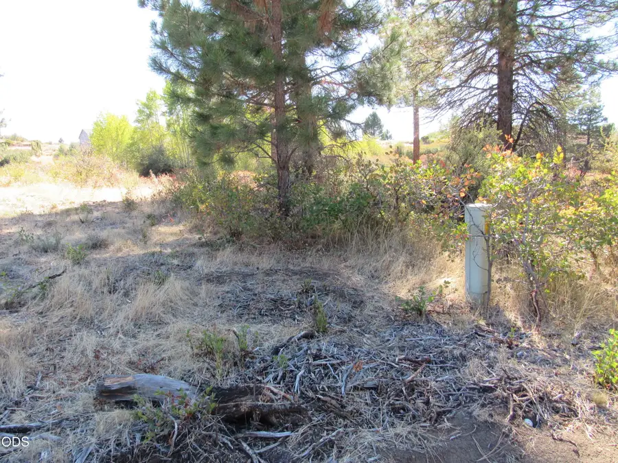 00 Forest View Drive, Chiloquin, OR 97624 - #3