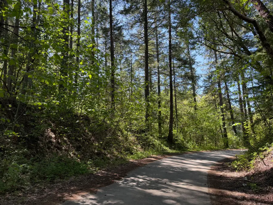 Sunny Valley Loop, Wolf Creek, OR 97497 - #3