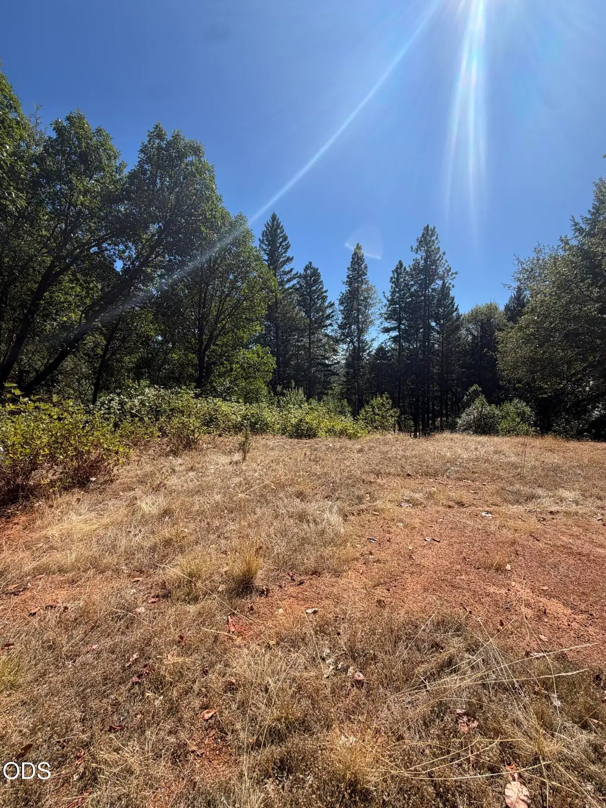 108 Cricket Lane, Grants Pass, OR 97527 - #1