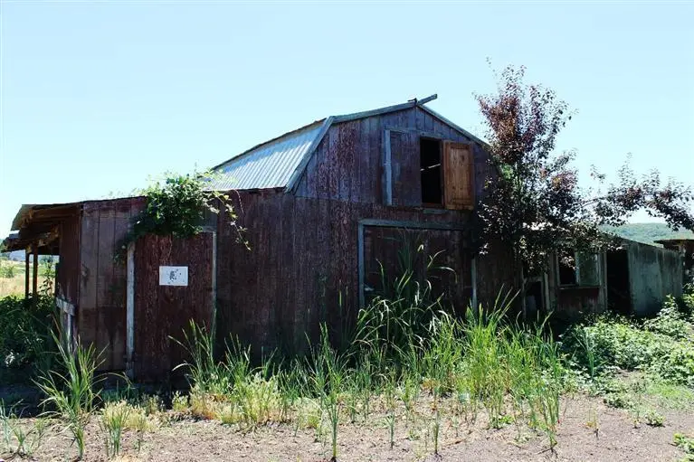 4223 Merita Terrace, Central Point, OR 97502 - #2