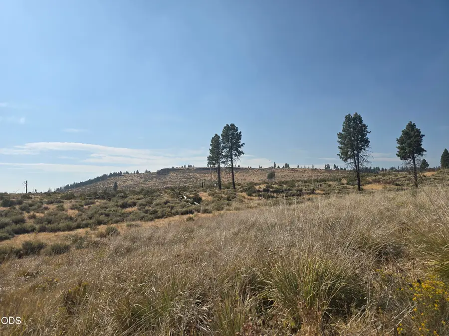 Ram Road #6, Chiloquin, OR 97624 - #3