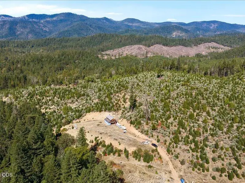 990 Indian Creek Road, Selma, OR 97538 - #2