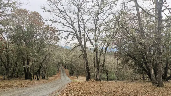 00 Azalea Drive Cut Off Drive #1100,609, Grants Pass, OR 97526