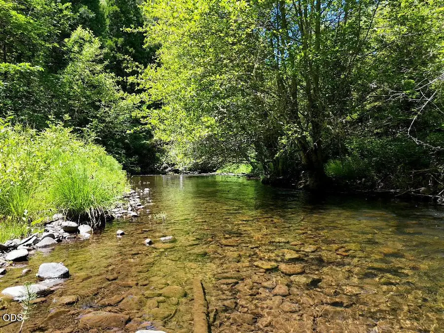 12263 Sf Little Butte Creek Road, Eagle Point, OR 97524 - #3