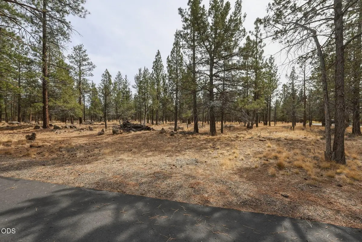 16541 Wren Lane, Sisters, OR 97759 - #1