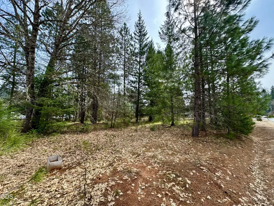 N Old Stage Road #3303, Cave Junction, OR 97523 - #2
