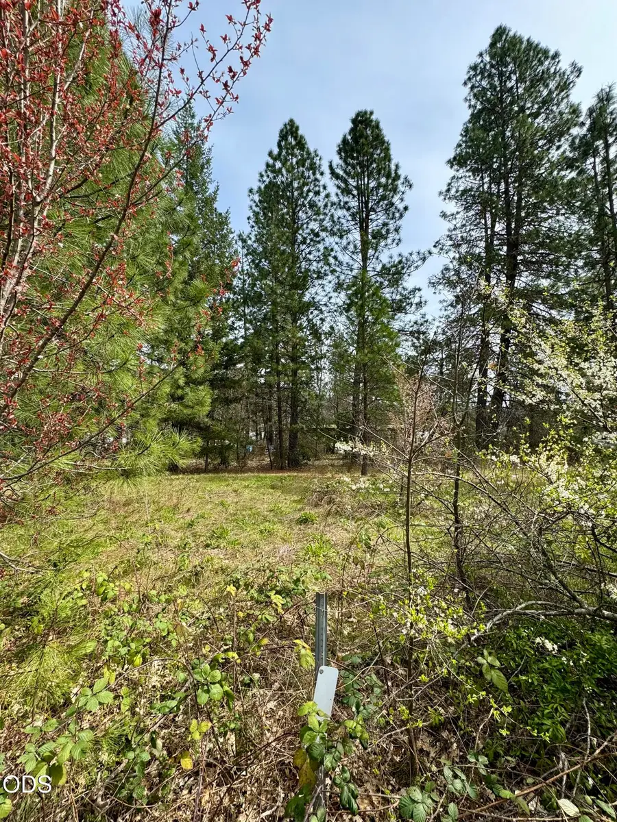 N Old Stage Road #3303, Cave Junction, OR 97523 - #3