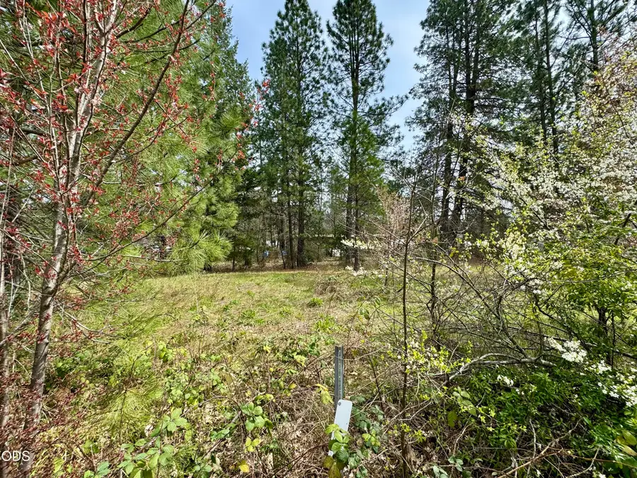 731 N Old Stage Road, Cave Junction, OR 97523 - #2