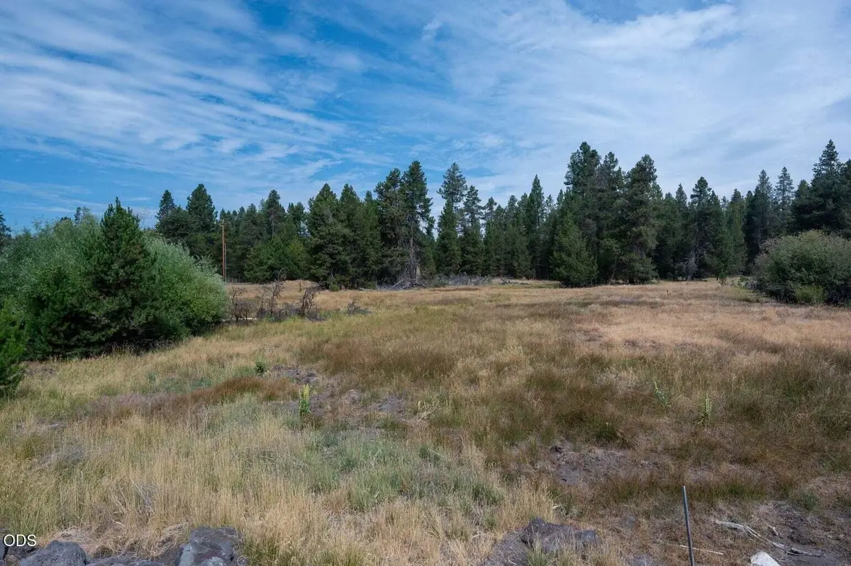 51590 Dorrance Meadow Road, La Pine, OR 97739 - #1